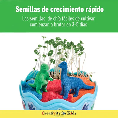 Mini Terrario Dinosaurio