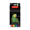 Ecolápices de color supersoft 12 colores